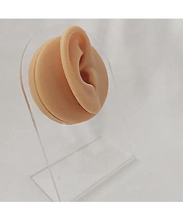 HADZLPOY 1 Pc Silicone Ear Model Reused Ear Displays Mould 1:1 Professional Piercings Practice Tools for Earrings Ear Studs Display with Stand (Right)
