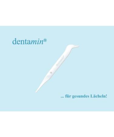 DENTAMIN Toothpicks - 500 Hygienically Packaged White Toothpicks for Optimal Oral Care - Perfect for International Shipping - Buy Online on GoSupps.com