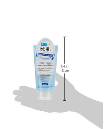 Hada Labo AHA BHA Face Wash 100g - Gentle Exfoliating Cleanser | International Shipping - Buy Online on GoSupps.com