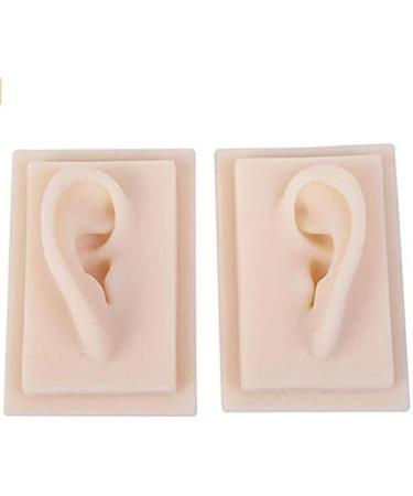 Model of Ear A Model of Silicon Ears Couple Human Model The of The Medical Research Pelle9 7 X 6.3 Centimeters / 3.82 X 2.48Inch - Buy Online on GoSupps.com