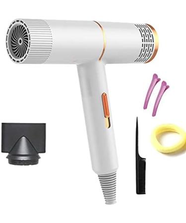 Professional Hair Dryer Infrared Negative Ionic Blow Dryer Hot&Cold Wind Salon Hair Styler Tool Hair Electric Blow Drier Blower (Type 1 White) - Buy Online on GoSupps.com