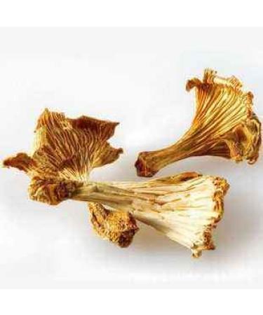 Dried Chanterelle Mushrooms - Premium Grade (2oz) - Pack of 1 - Buy Online on GoSupps.com
