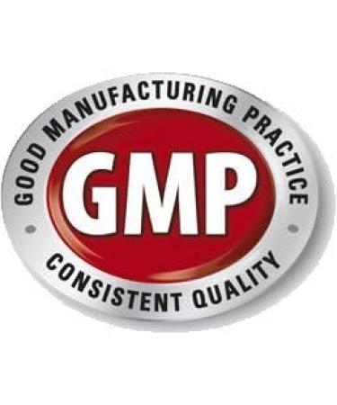 L-carnitine with Chromium - L-CARNITINE 500MG- Boost Athletic Performance (2 Bottles) - Buy Online on GoSupps.com