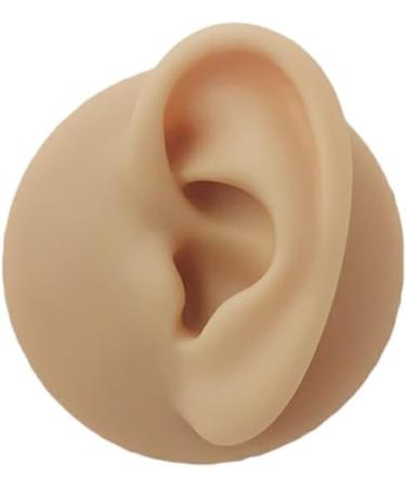 WEHOMY Silicone Left Ear Model for Teaching Instruction - Realistic 3D Display Tool Skin Color - Buy Online on GoSupps.com
