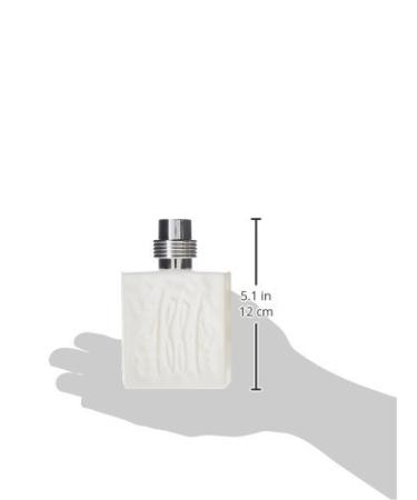 Nino Cerruti 1881 Men's Eau de Toilette Spray 3.4 Ounce 3.4 Ounce (Pack of 1) - Buy Online on GoSupps.com