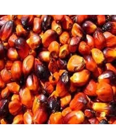 Trofai Ivory Coast Seed Sauce 400g - Buy Online on GoSupps.com