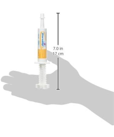 Diarsanyl 10 ml Anti-diarrhea paste for cats and dogs from 2 to 7 kg - Buy Online on GoSupps.com