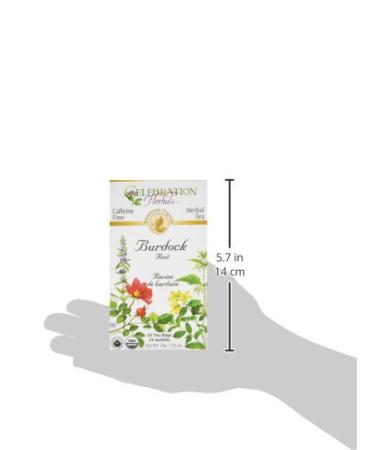 Celebration Herbals Burdock Root Tea Bags - 24 Count - Buy Online on GoSupps.com