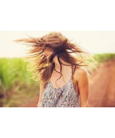 Organic Horsetail Extract - Gray Hair Solution for Men and Women - Gray Hair Eliminator (6 Bottles 360 Capsules) - Buy Online on GoSupps.com