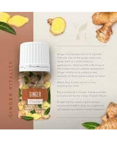 Young Living Ginger Vitality 5ml - 100% Pure Essential Oil for Empowerment Aromatherapy & Culinary Use - Natural Flavor Enhancer - Buy Online on GoSupps.com
