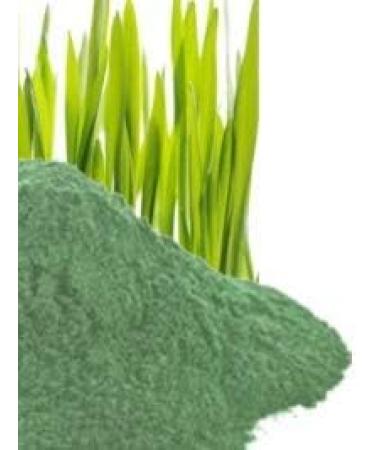 Uplift Organic Barley Grass Tablets - 120 Count | 100% Pure & Natural - Rich in Vitamins, Fibers, Antioxidants, Protein, and Minerals | Supports Immune System and Digestion - Buy Online on GoSupps.com