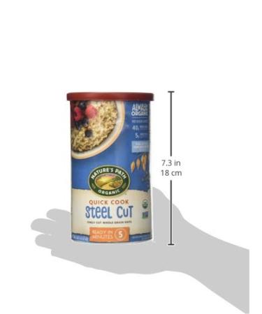 Buy Natures Path Organic Steel Cut Oatmeal - Quick Cook 24 oz | Healthy Breakfast - Buy Online on GoSupps.com