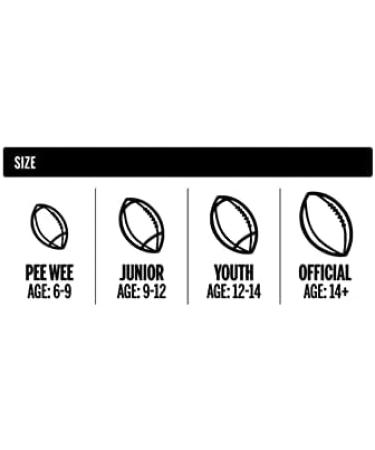 WILSON Autograph Footballs NCAA Mini Autograph Mini - Buy Online on GoSupps.com