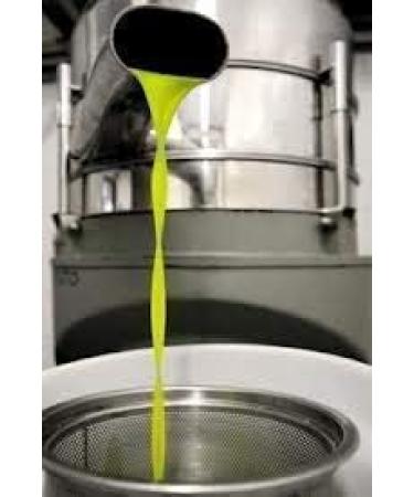  Gnavolini Raccolta Sapore Gnavolini Raccolta Sapore Blue Line Cold Extra Virgin Olive Oil | 5 Litre Tin | The most versatile olive oil for cooking... - Buy Online on GoSupps.com