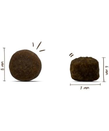 Buy Bosch HPC Mini Adult Dog Food with Lamb & Rice | 1kg Pack for Small Breeds | International Shipping Available - Buy Online on GoSupps.com