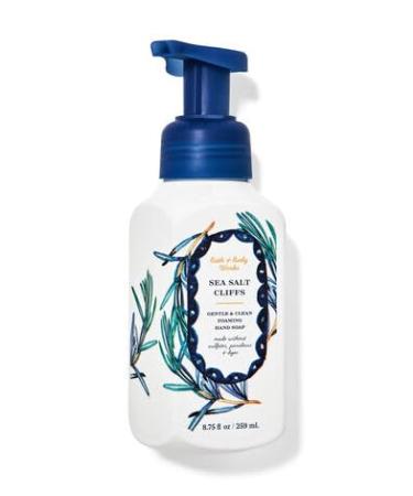 Sea Salt Cliffs Gentle & Clean Foaming Hand Soap by Bath Body Works 8.75 fl oz / 259 mL Full Size Pack of 1