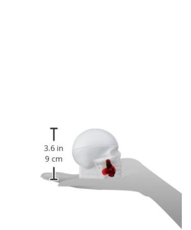 Skulls & Roses/Christian Audigier Edp Spray 3.4 Oz (W) - Buy Online on GoSupps.com