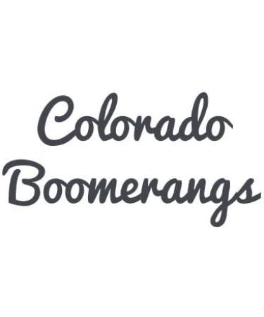 Glow in The Dark Bumblebee Boomerang - Easy Returning Boomerangs | Buy Online - Buy Online on GoSupps.com
