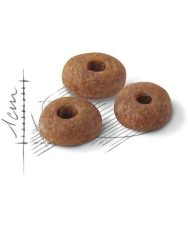 Royal Canin Fit Complete Dry Adult Cat Food 3 x 400g - Buy Online on GoSupps.com