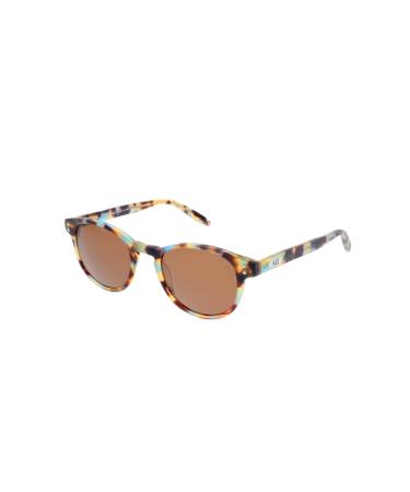 HIS Eyewear HS376 - Sunglasses havana brown / 0 diopters