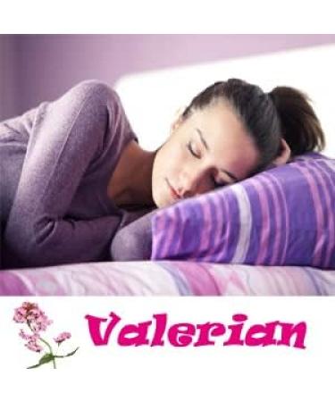 Valerian Root Capsules Organic 500mg Herb Extract Supplement 100 Pills - Buy Online on GoSupps.com