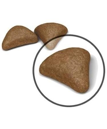 Royal Canin Hairball Care Complete Dry Adult Cat Food 3 x 400g - Buy Online on GoSupps.com