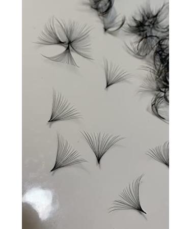 Lash by Holly 20D Premade (Hand Made) Fan Lashes (500 fans/tray) for eyelash extension D Curl 0.05 Thickness Lingsh from 10mm-17mm (D13mm20d)
