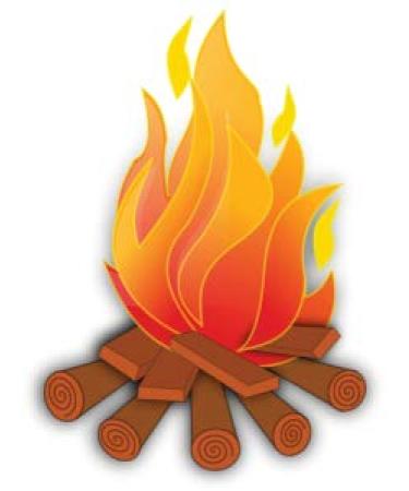 Urinal Fly Toilet Stickers 12 Pack - Bee, Fire, Ladybug Target - 80% Cleaner Bathrooms in Minutes! - Buy Online on GoSupps.com