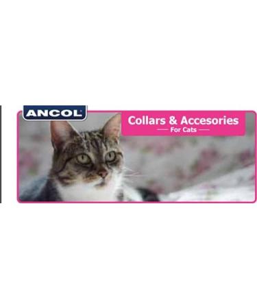 Ancol Gloss Reflective Cat Collar with safety buckle Blue Blue 1 Count (Pack of 1) - Buy Online on GoSupps.com