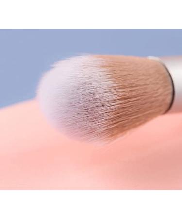 WOIWO 5 PCS Highlight Face Repair Blush Brush Set | Brightening Makeup Tools for Flawless Beauty - Buy Online on GoSupps.com