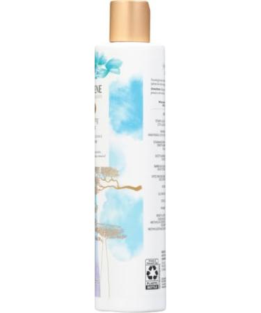 Buy Pantene Products Online | International Shipping & Best Prices - Buy Online on GoSupps.com