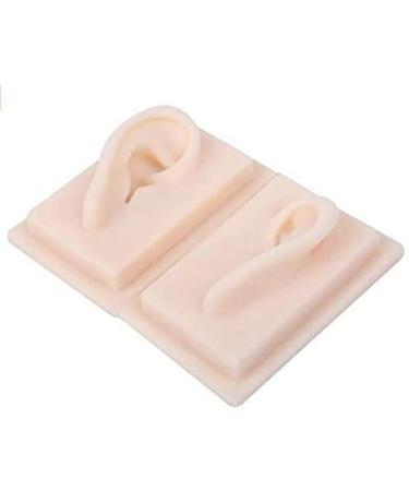 Silicone Ear Model for Educational Kit for The Acupuncture Treatment of The School Model of Human Ear Silicone-Size Natural 1 1 1 Pair - Buy Online on GoSupps.com