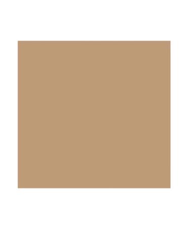 Even Better Makeup SPF 15 1-oz. WN 110 Chestnut - Brighten, Protect and Perfect Your Skin - Buy Online on GoSupps.com