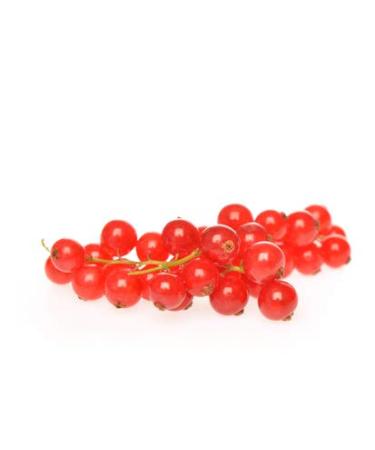 ISOSTEST-drops aroma i aromas for athletes I aromatization of drinks instant and dairy products I Red-Johannisbeer i 100 ml- Made in Germany Red-Johannisbeer- fruity slightly woody sweet 100 ml