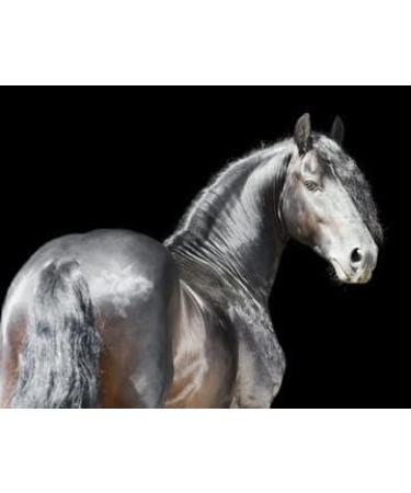 Dr. Weyrauch Zinkursan Vet | 500g | Horse Supplement | May Help Compensate Zinc Deficiency | May Contribute to Hoof Regeneration - Buy Online on GoSupps.com