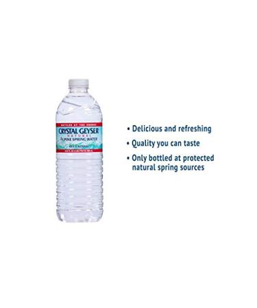 Natural Alpine Spring Water - 16.91 fl oz (500 mL) - Bottle - 35