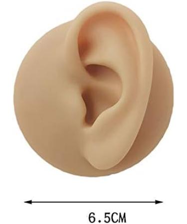 Silicone Ear Model - Simulation Human Ear Model - for Human Body Piercing Acupuncture and Moxibustion Ear Teaching Earrings Earrings Show Left - Buy Online on GoSupps.com