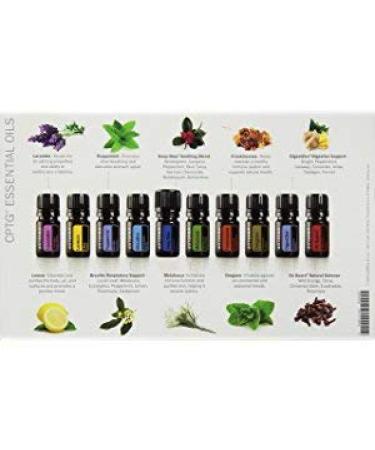 doTERRA Family Essential Kit Liquid | Natural Wellness Essentials for Every Home - Shop Now - Buy Online on GoSupps.com
