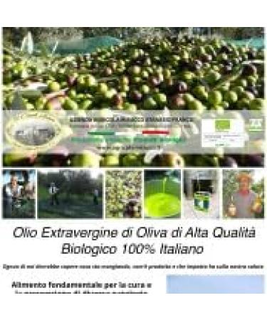 100% Italian Organic Extra Virgin Olive Oil 1 Bottle 500 Ml - Buy Online on GoSupps.com