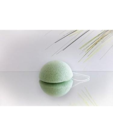 Konjac Sponge with Aloe for Dry Skin - Buy Online on GoSupps.com