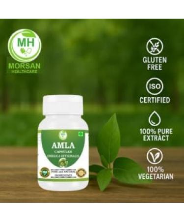 Morsan Healthcare Amla Capsules 500mg Organic Indian Gooseberry Extract | Natural Vitamin C & Antioxidant | Supports Immunity Digestion Skin & Hair Health | Vegan Herbal Supplement (Pack of 1) - Buy Online on GoSupps.com