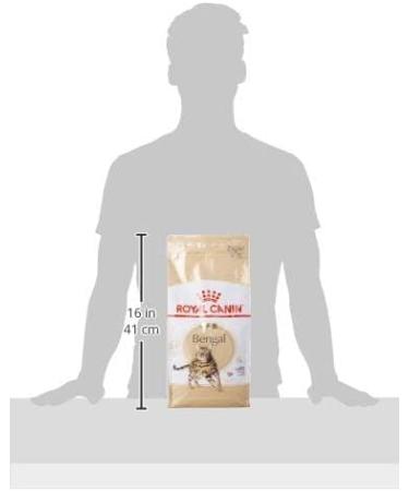 Royal Canin Bengal Cat Food 2 kg Variety 2 kg (Pack of 1) - Buy Online on GoSupps.com