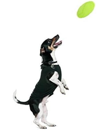 Vivifying Frisbee Dog - 2 Pack 18cm Natural Rubber Dog Frisbees for Land & Water (Green & Orange) - Durable & Fun! - Buy Online on GoSupps.com