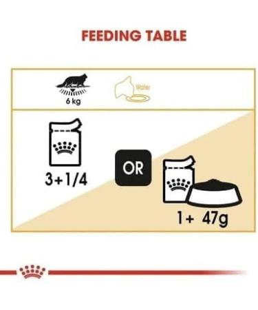 Royal Canin Maine Coon Adult Cat Food 85g x 24 - Buy Online on GoSupps.com