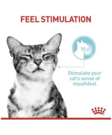 Royal Canin Sensory Feel in Jelly Wet Cat 85g (Pack of 48) - Buy Online on GoSupps.com