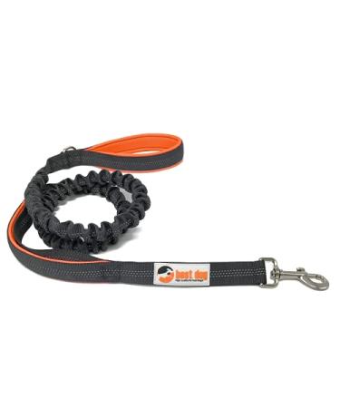 best dog Premium dog leash for large dogs (orange-grey)