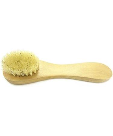 Healthevryday Facial Cleaning Exfoliate Brush Facial Skin Care Tool Pore Cleaner Brush with High Grade wood Holder and Soft Bristle - Buy Online on GoSupps.com