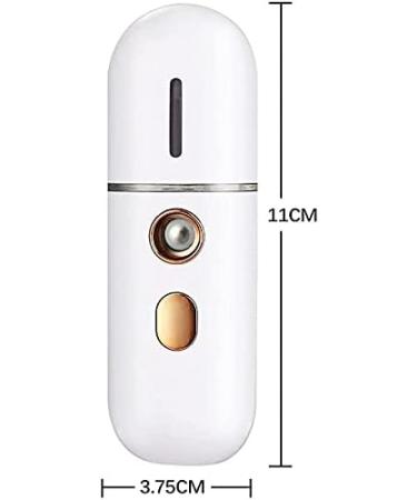 Fattoz Portable Steamer Mini USB Humidifier Nano Sprayer Handy Face Steamer Mist Machine - Buy Online on GoSupps.com