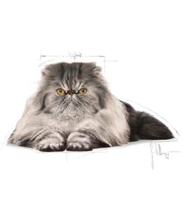 Royal Canin Persian Adult Dry Cat Food 4 x 400g - Buy Online on GoSupps.com
