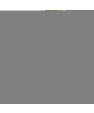 Car Oil Film Remover - Car Glass Oil Film Removing Paste Car Glass Cleaner Wipes Glass Oil Cleaning for Car Windshield - Buy Online on GoSupps.com